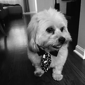 Meet your Posher, Wiola